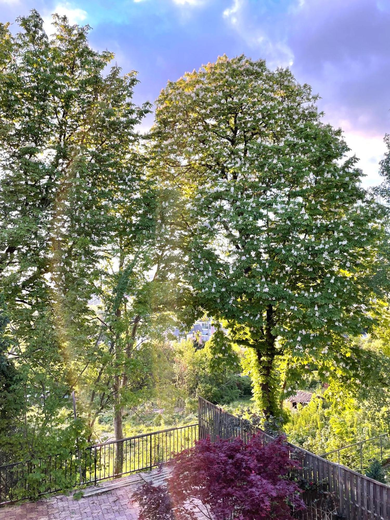 Sara Home Chennevieres-sur-Marne Экстерьер фото